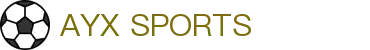 爱游戏体育(中国)官方网站_AYX SPORTS